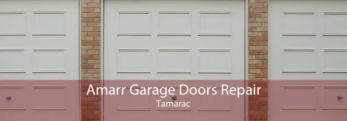Amarr Garage Doors Repair Tamarac