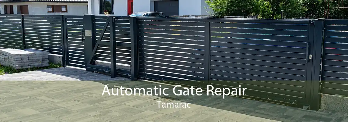 Automatic Gate Repair Tamarac