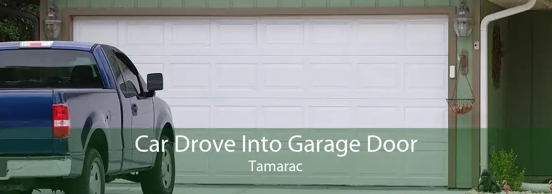 Car Drove Into Garage Door Tamarac