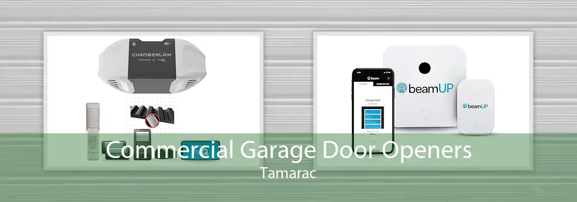 Commercial Garage Door Openers Tamarac