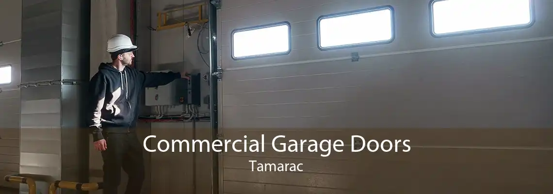 Commercial Garage Doors Tamarac