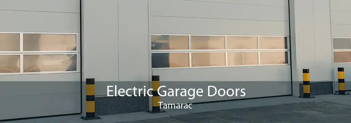 Electric Garage Doors Tamarac