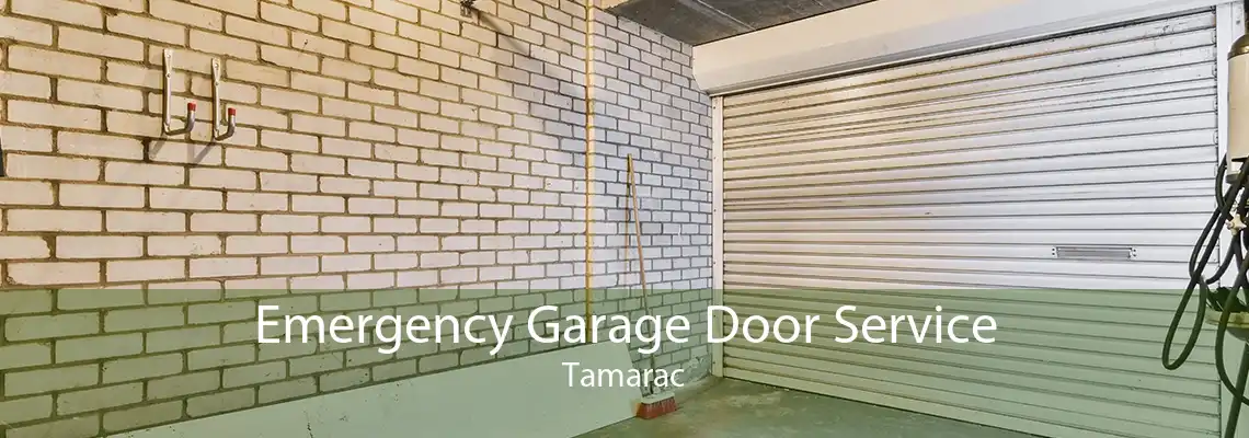 Emergency Garage Door Service Tamarac