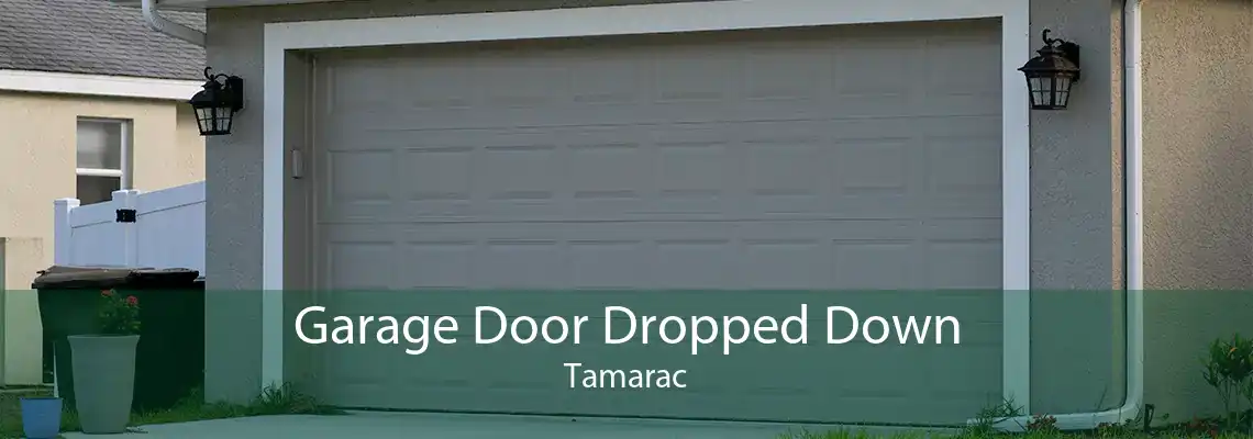 Garage Door Dropped Down Tamarac