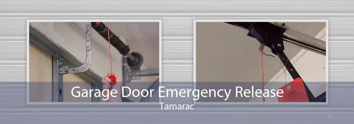 Garage Door Emergency Release Tamarac