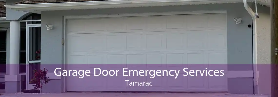 Garage Door Emergency Services Tamarac