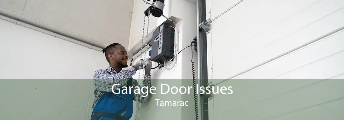 Garage Door Issues Tamarac