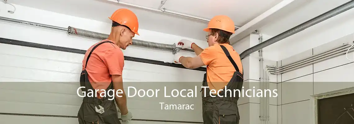 Garage Door Local Technicians Tamarac