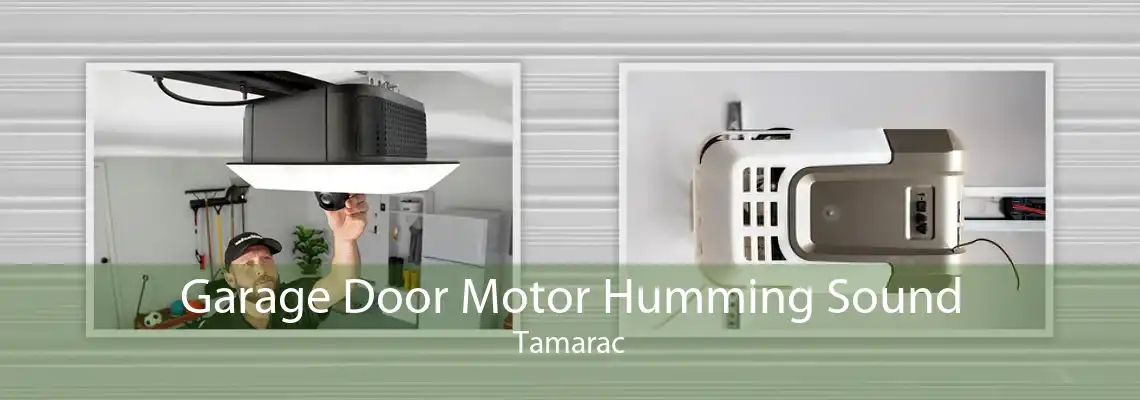 Garage Door Motor Humming Sound Tamarac