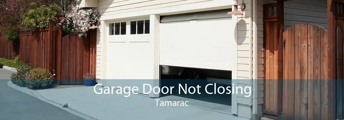 Garage Door Not Closing Tamarac