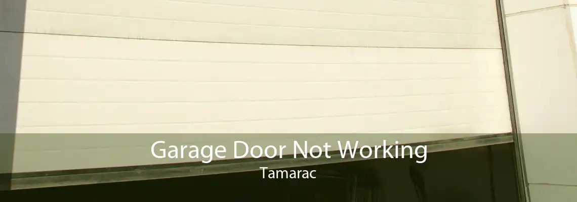 Garage Door Not Working Tamarac