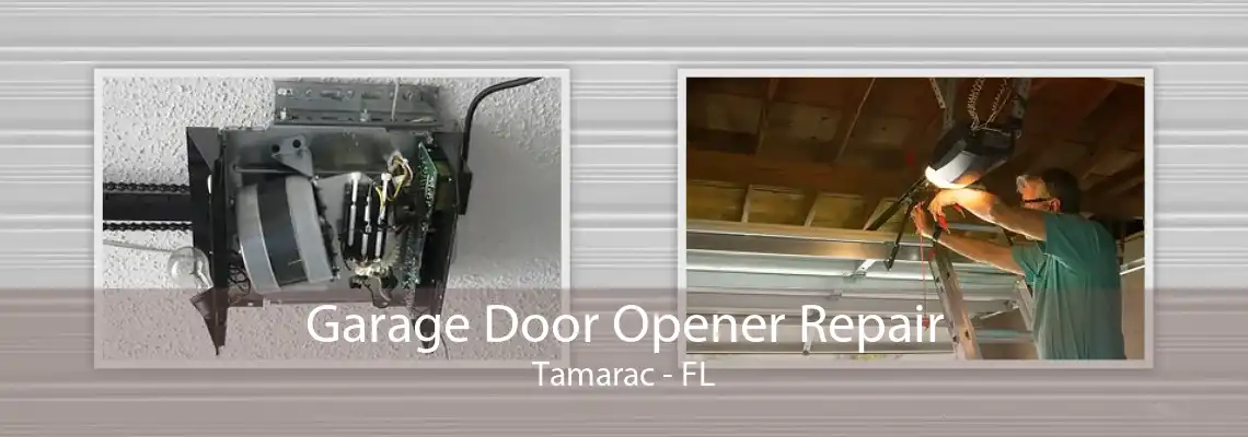 Garage Door Opener Repair Tamarac - FL