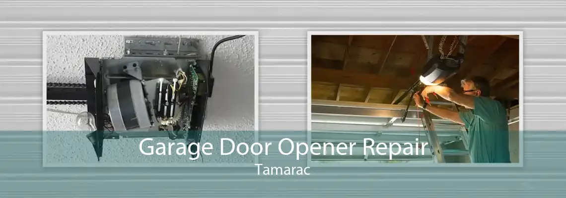 Garage Door Opener Repair Tamarac