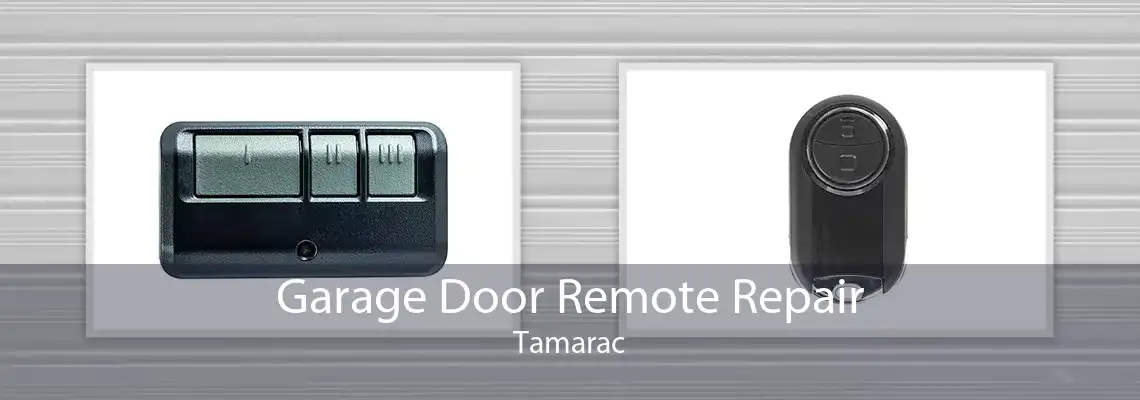 Garage Door Remote Repair Tamarac