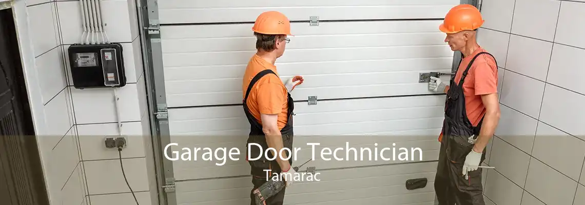 Garage Door Technician Tamarac