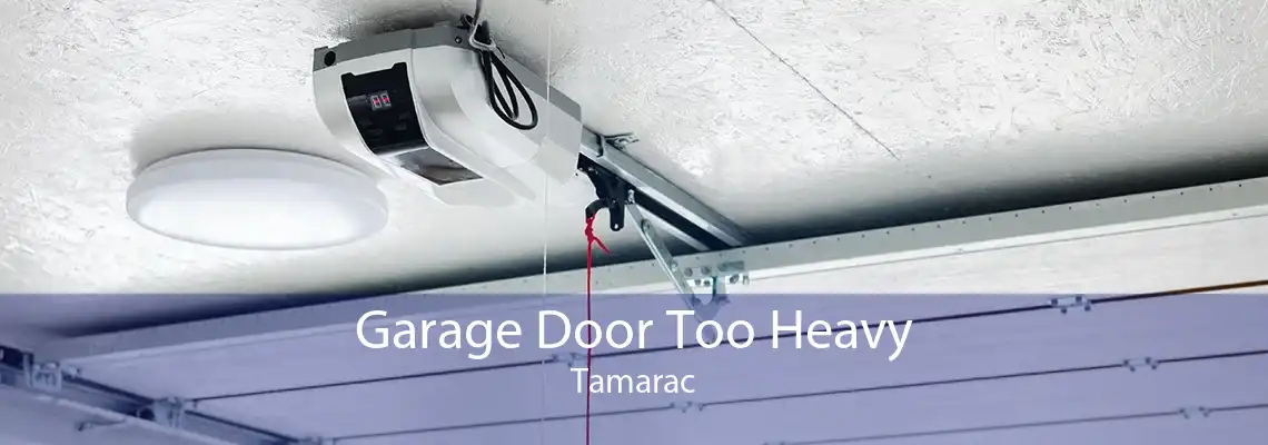 Garage Door Too Heavy Tamarac