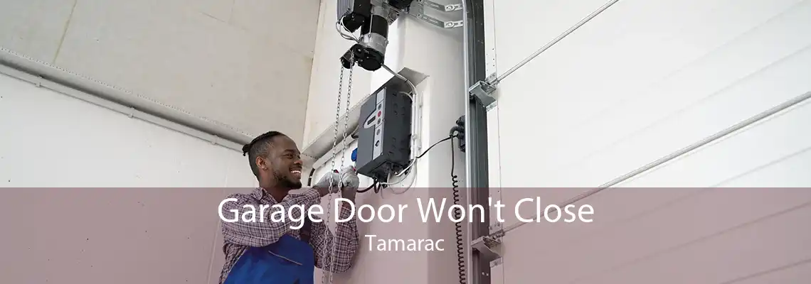 Garage Door Won't Close Tamarac