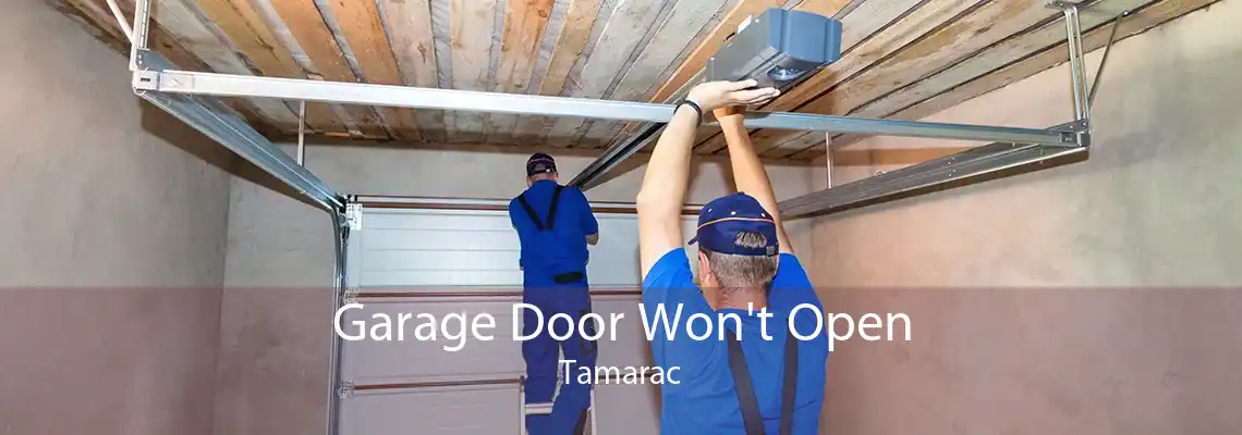 Garage Door Won't Open Tamarac