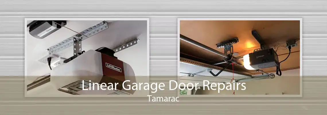 Linear Garage Door Repairs Tamarac