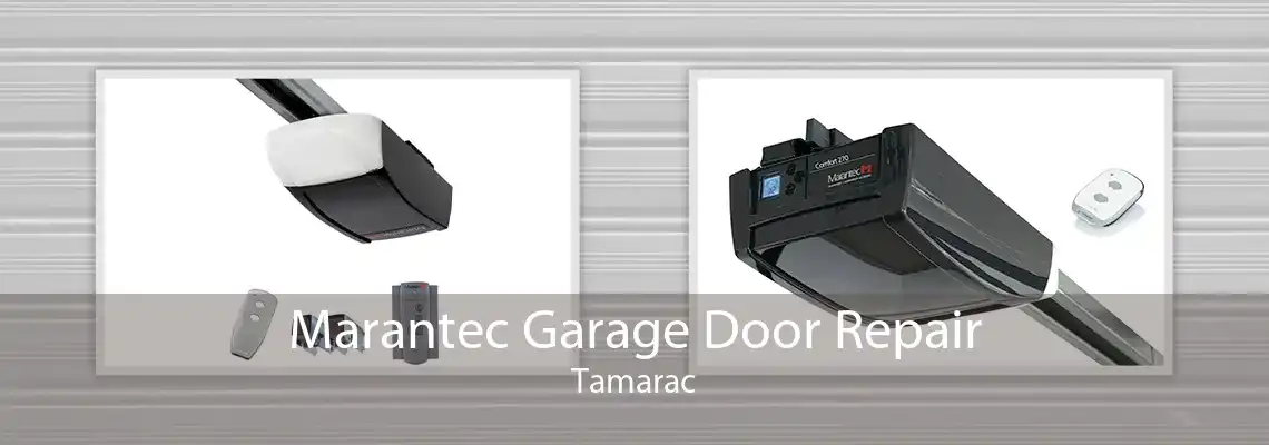 Marantec Garage Door Repair Tamarac