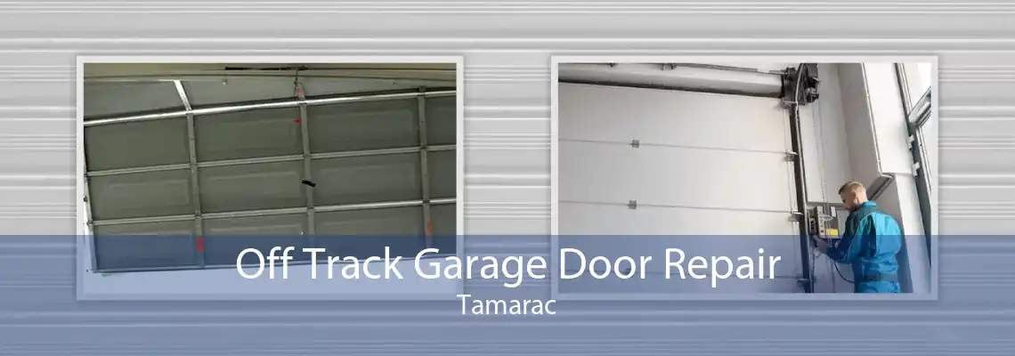 Off Track Garage Door Repair Tamarac