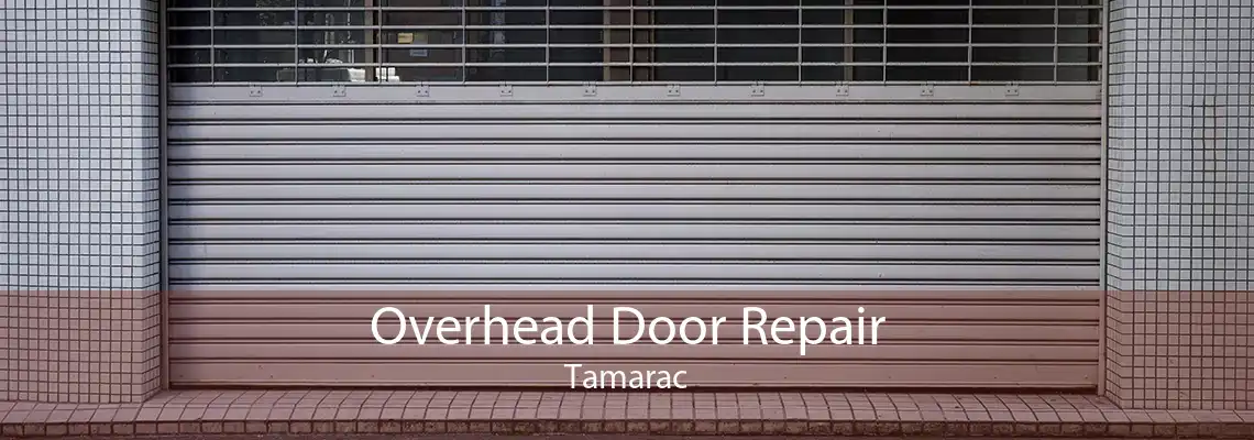 Overhead Door Repair Tamarac