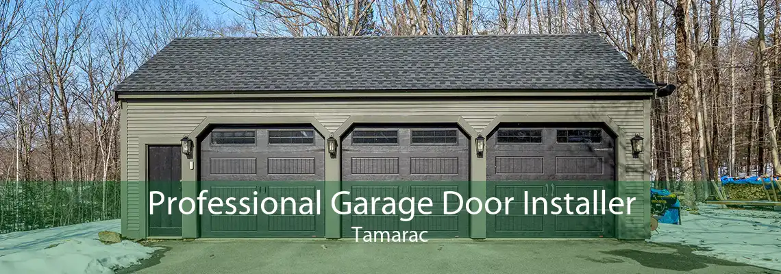 Professional Garage Door Installer Tamarac