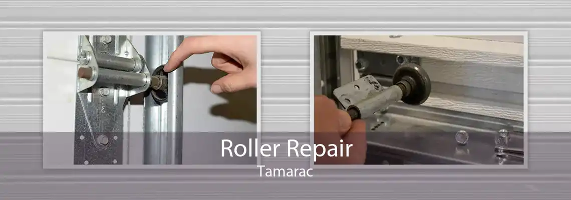 Roller Repair Tamarac