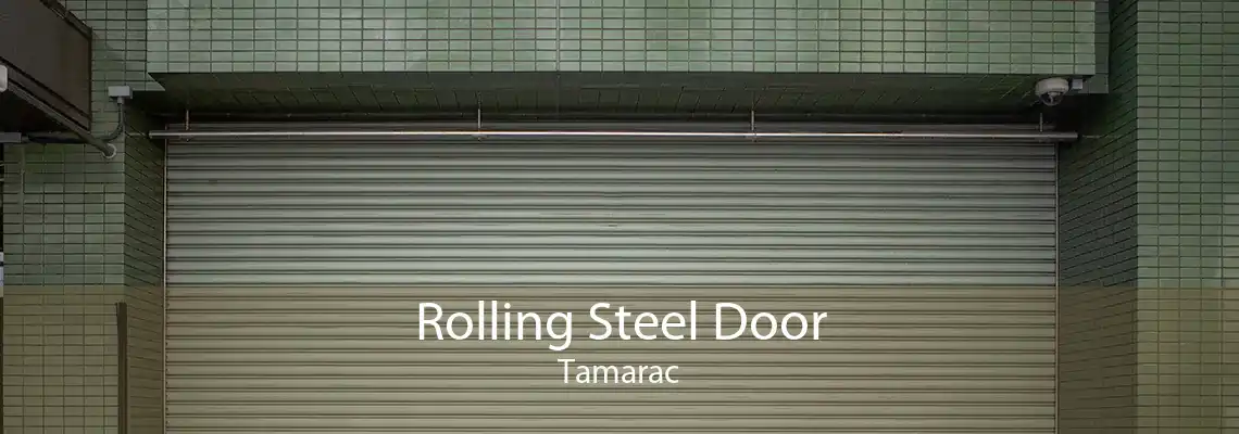 Rolling Steel Door Tamarac