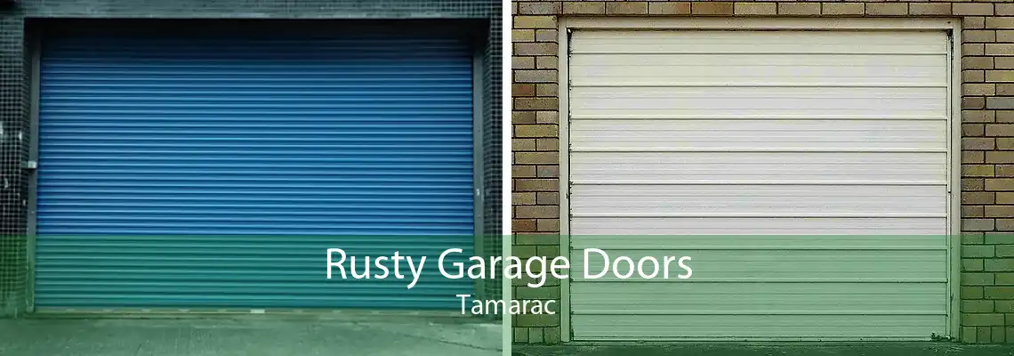 Rusty Garage Doors Tamarac