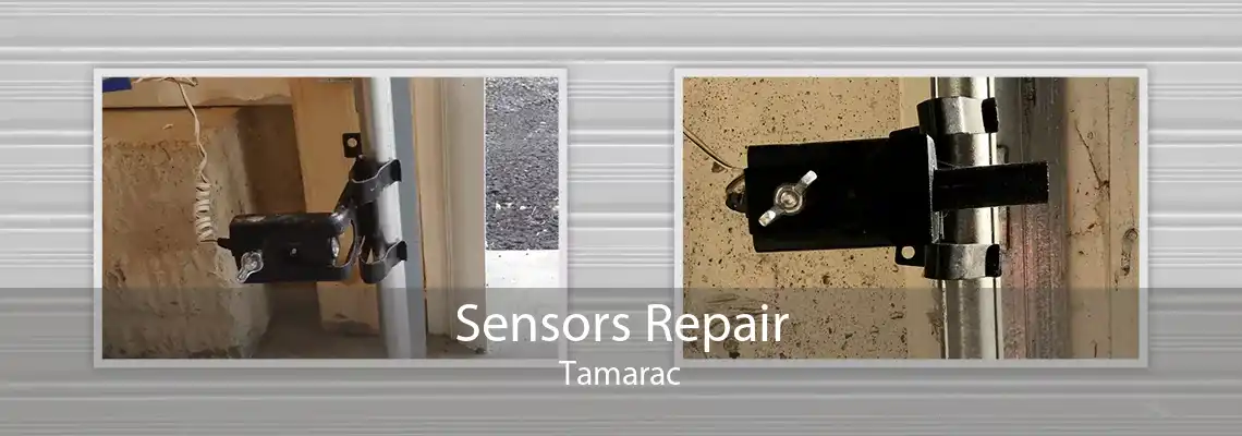 Sensors Repair Tamarac